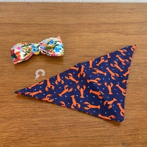 Dog accessories! 2-for-1 sale!